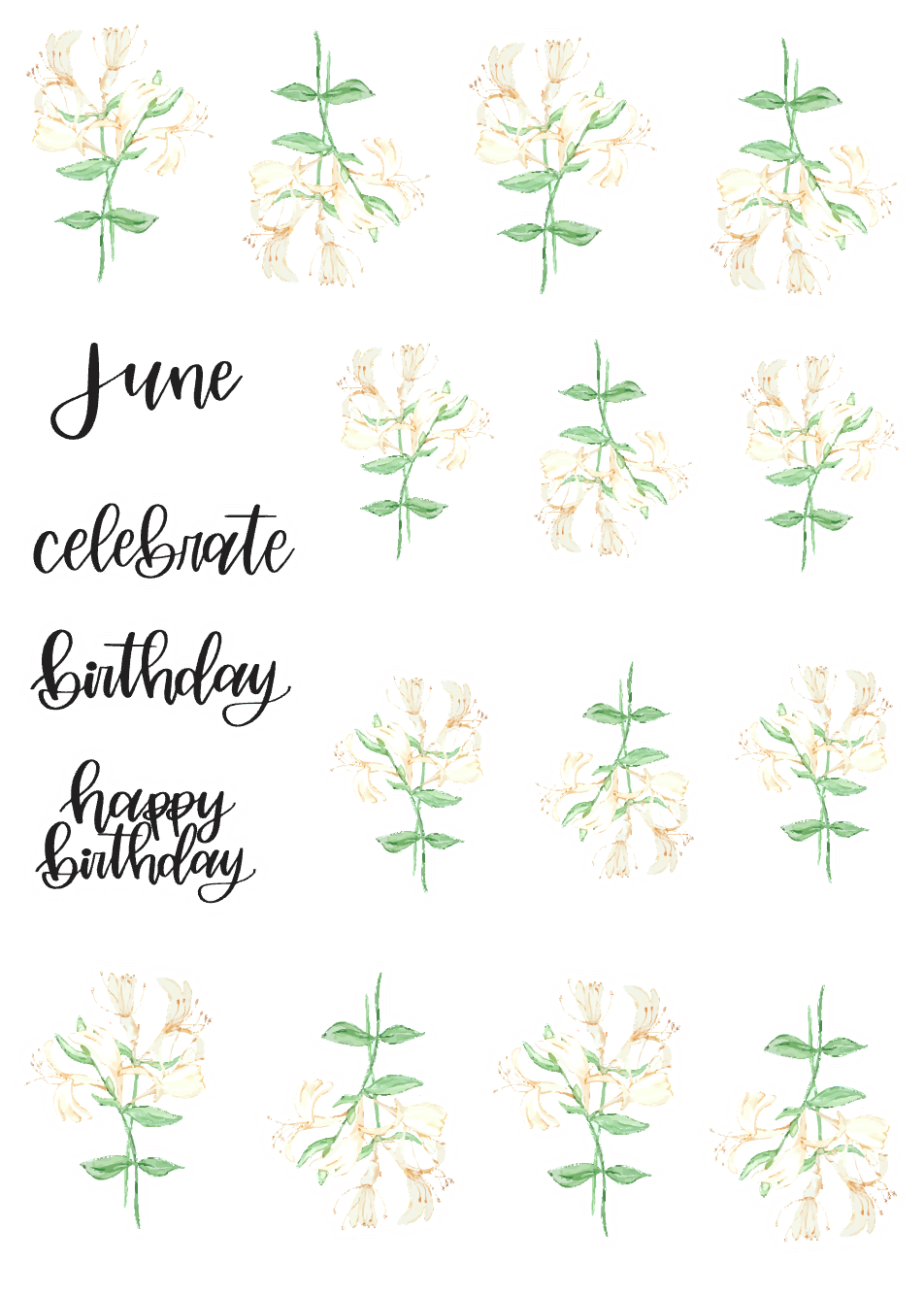June Birth Monthly Florals Sticker Sheet – Amber Plans Her Day