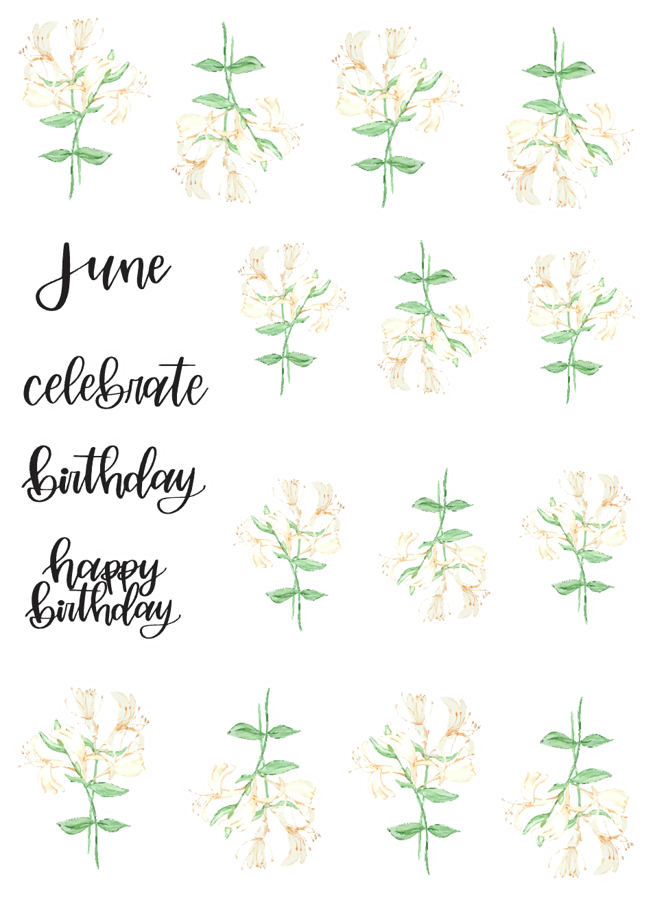 June Birth Monthly Florals Sticker Sheet